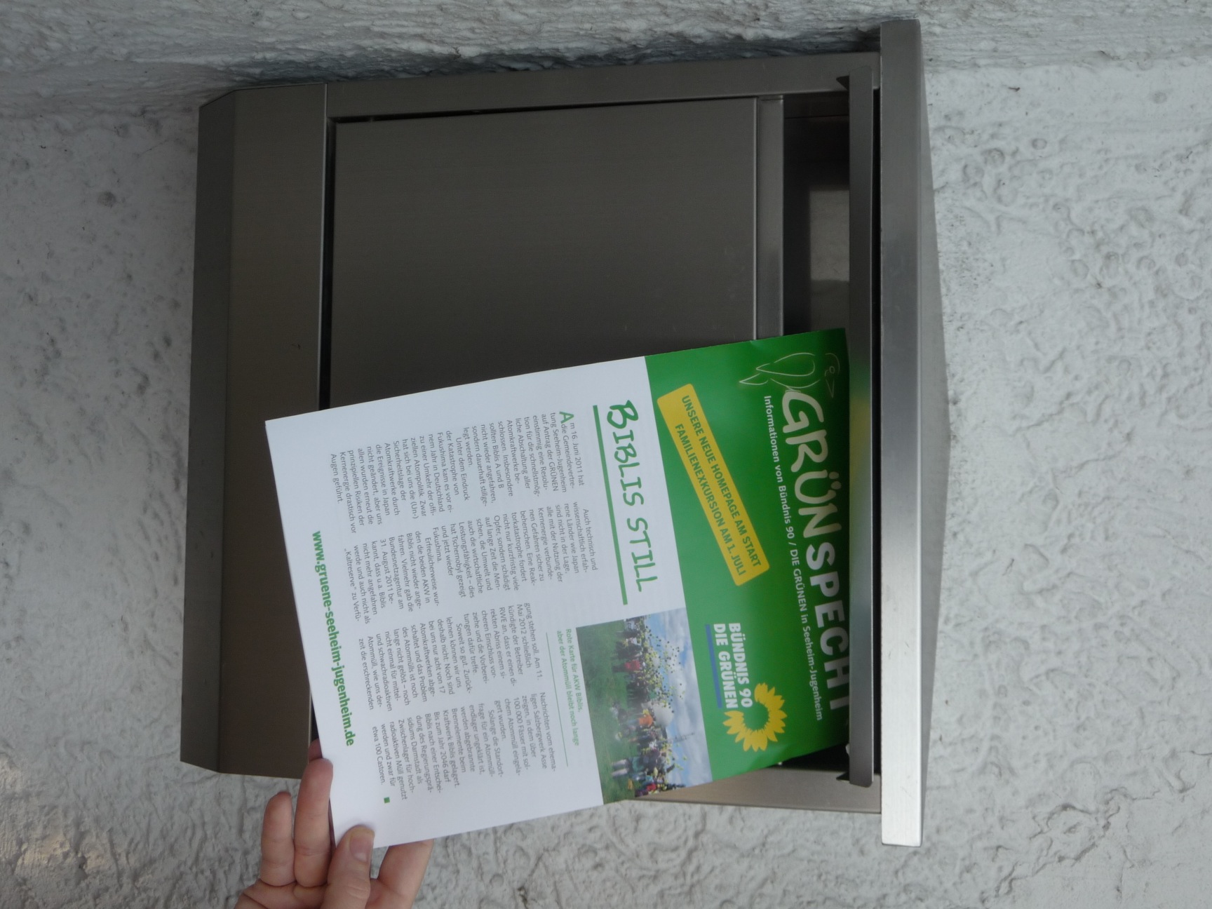 Download Gruenspecht 2012 als PDF