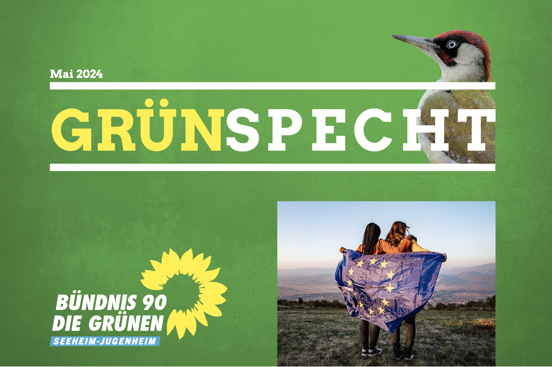 Grünspecht Mai 2024
