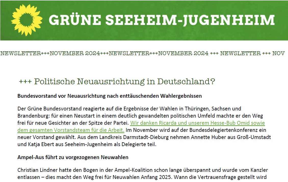 Newsletter November 2024