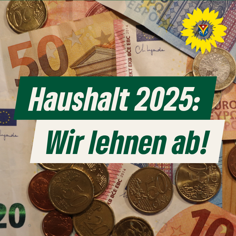 Haushaltsrede unserer Fraktionsvorsitzenden, Katja Ebert: