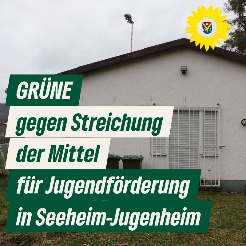 Pressemitteilung: Haushalt 2025: GRÜNE lehnen Entwurf ab – Soziale Einsparungen in der Kritik